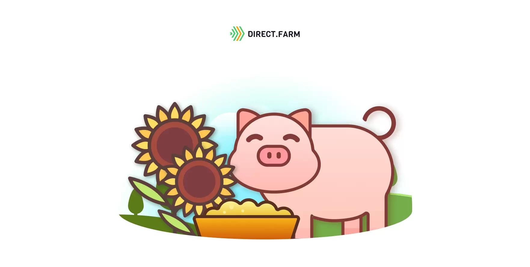 Замена фосфата дефторированного на фуз подсолнечный в рационе свиней