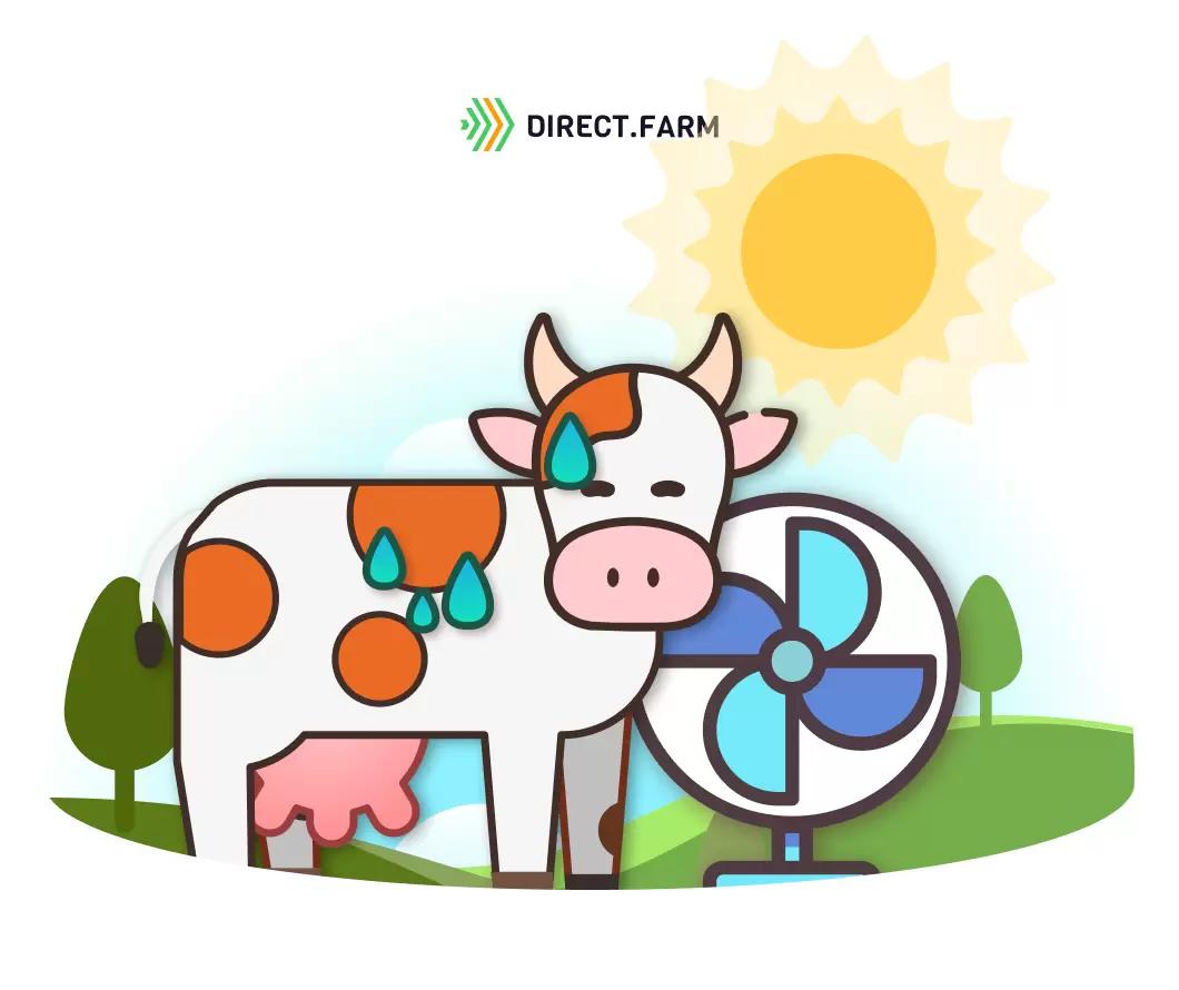 ТОП-14 способов снижения теплового стресса у коров