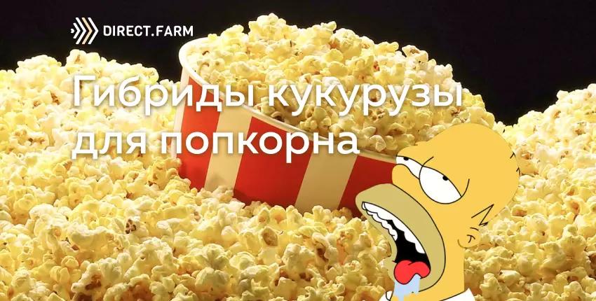Гибриды кукурузы для попкорна