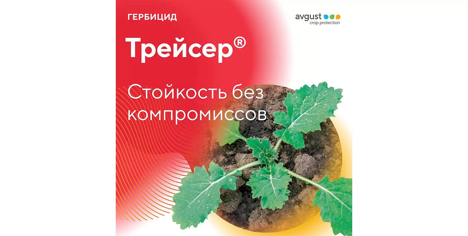 Трейсер® – гербицид для рапса, сои, сахарной свеклы, картофеля и моркови