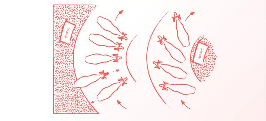 Доильный зал "Карусель"