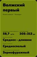 Волжский первый сорт озимого ячменя