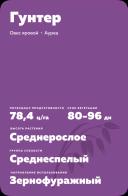 Гунтер сорт овса ярового