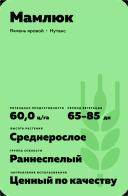 Мамлюк сорт ярового ячменя