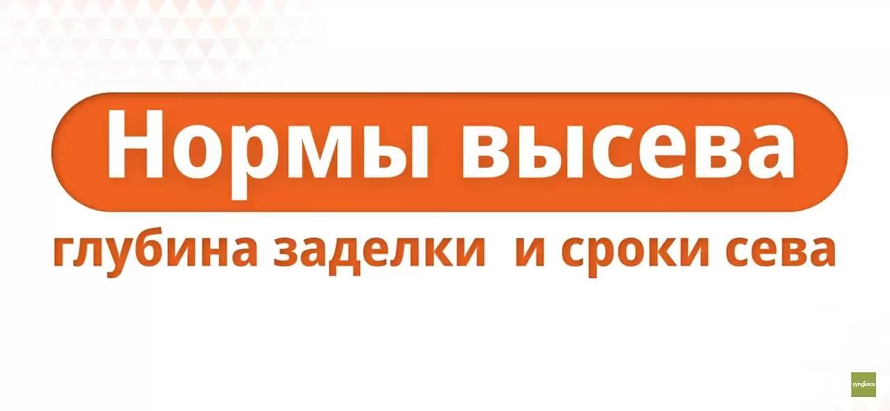 Сроки сева, норма высева и глубина заделки семян