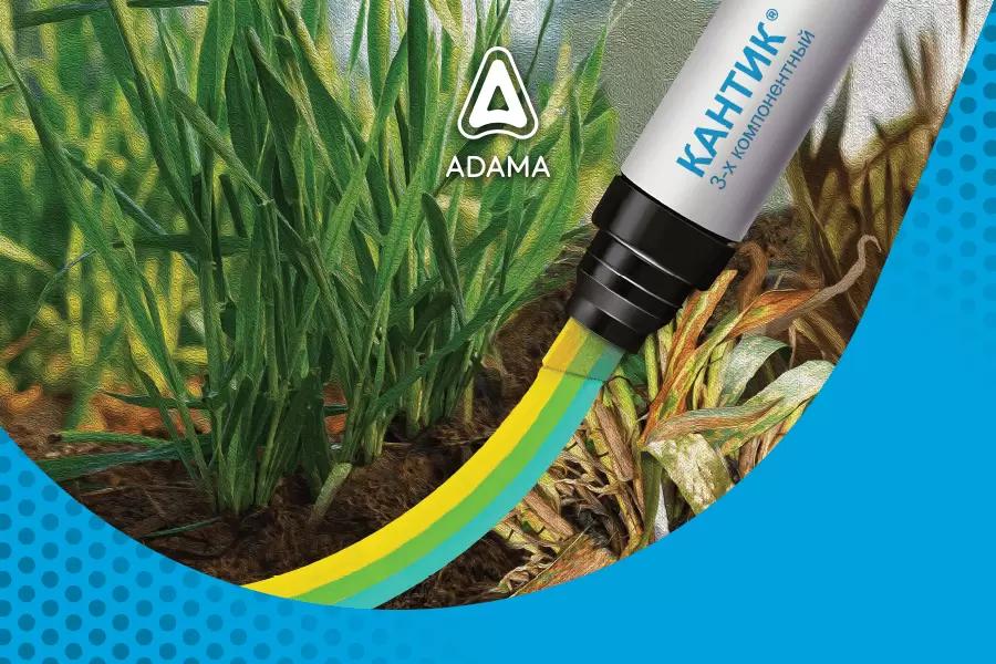 Кантик® - черта, за которую гниль, ржавчина и мучнистая роса не перейдут!