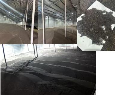 Продам Рапс