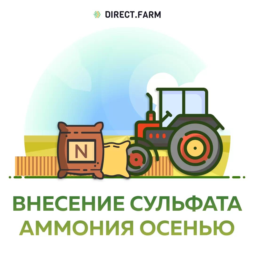 Эффективно ли вносить сульфат аммония перед зяблевой обработкой почвы осенью?