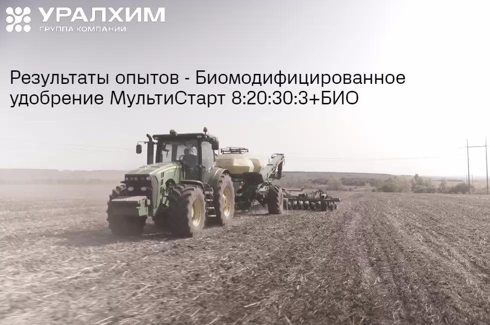 Опыты на овощных культурах: капуста белокочанная, морковь, картофель