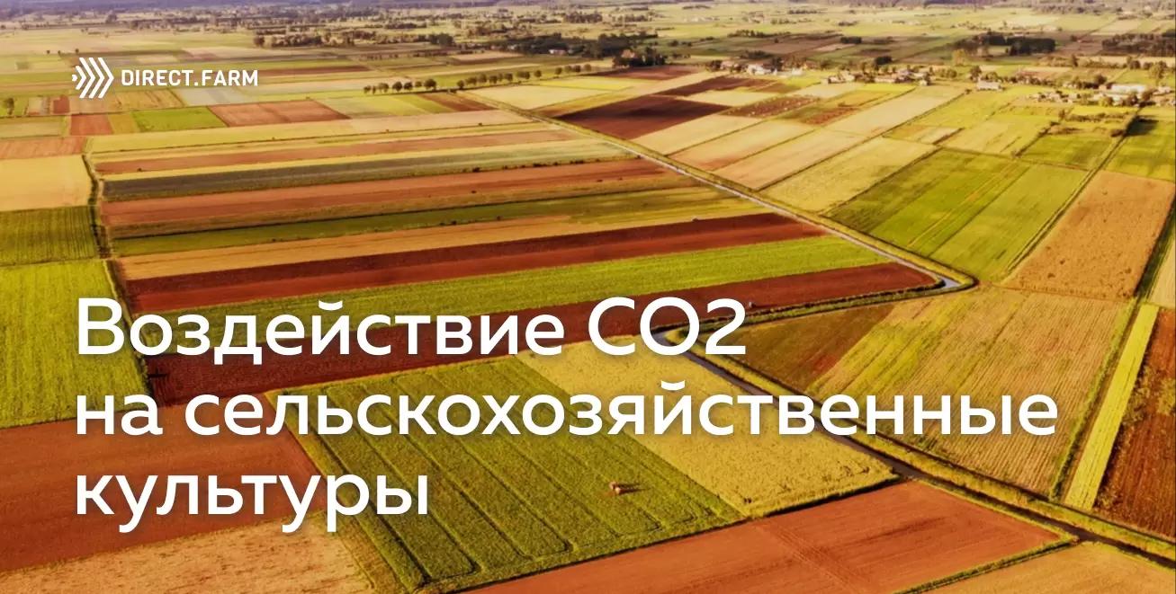 Повышение содержания СО2 в атмосфере: вред или польза?