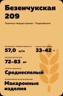 Безенчукская 209