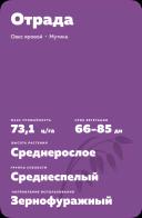 Отрада сорт овса ярового