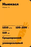 Ньюкасл F1 (NEWCASTLE)