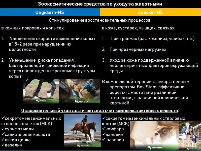 Компания NoviStem - препараты для животных