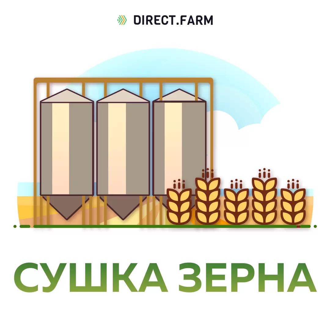 Сушка зерна