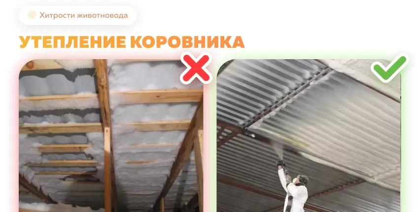 Утепление коровников и доильных залов