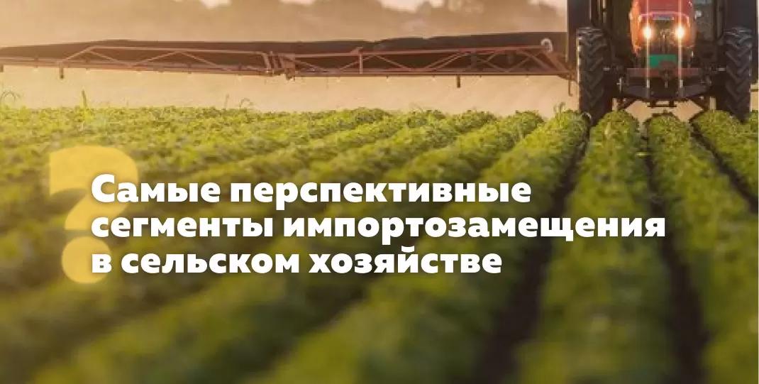 Самые перспективные сегменты импортозамещения в сельском хозяйстве