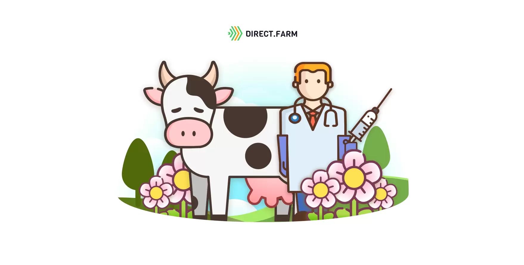 Причины перегулов у КРС весной