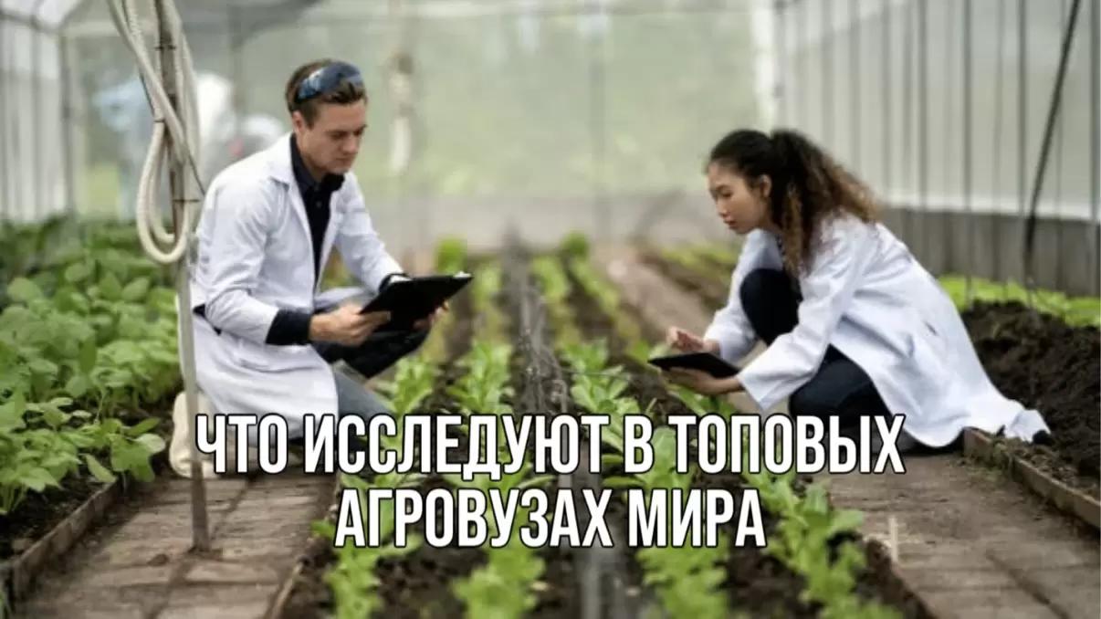 ЧТО ИССЛЕДУЮТ В ТОПОВЫХ АГРОВУЗАХ МИРА