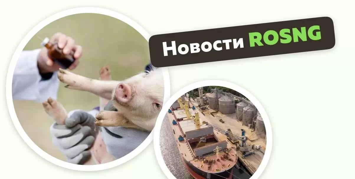 Обзор новостей за 23 октября