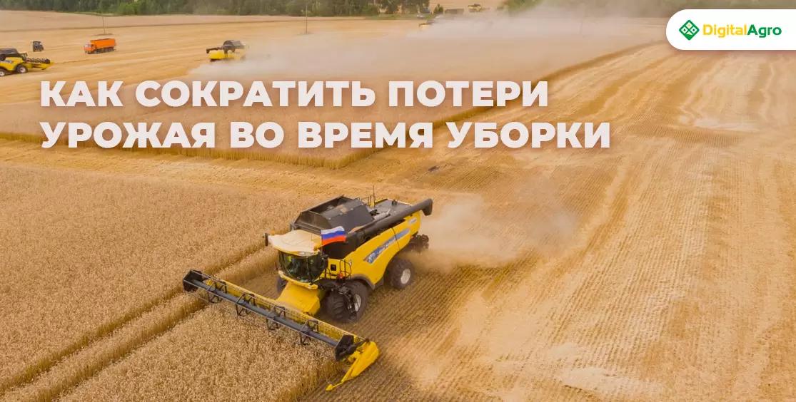 Как сократить потери урожая во время уборки