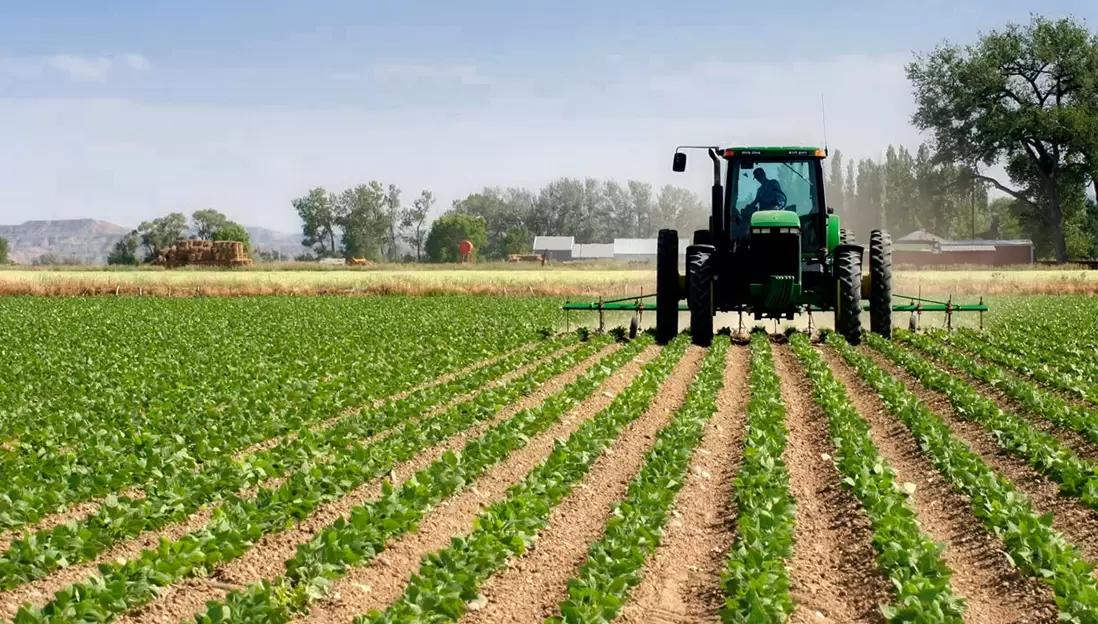 Ученые создают "искусственный чернозем" для восстановления сельхозземель в РФ