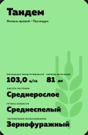 Тандем сорт ярового ячменя