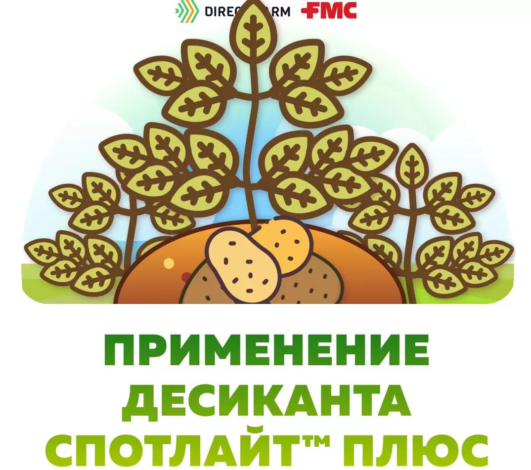 Спотлайт™ Плюс – опыт десикации картофеля
