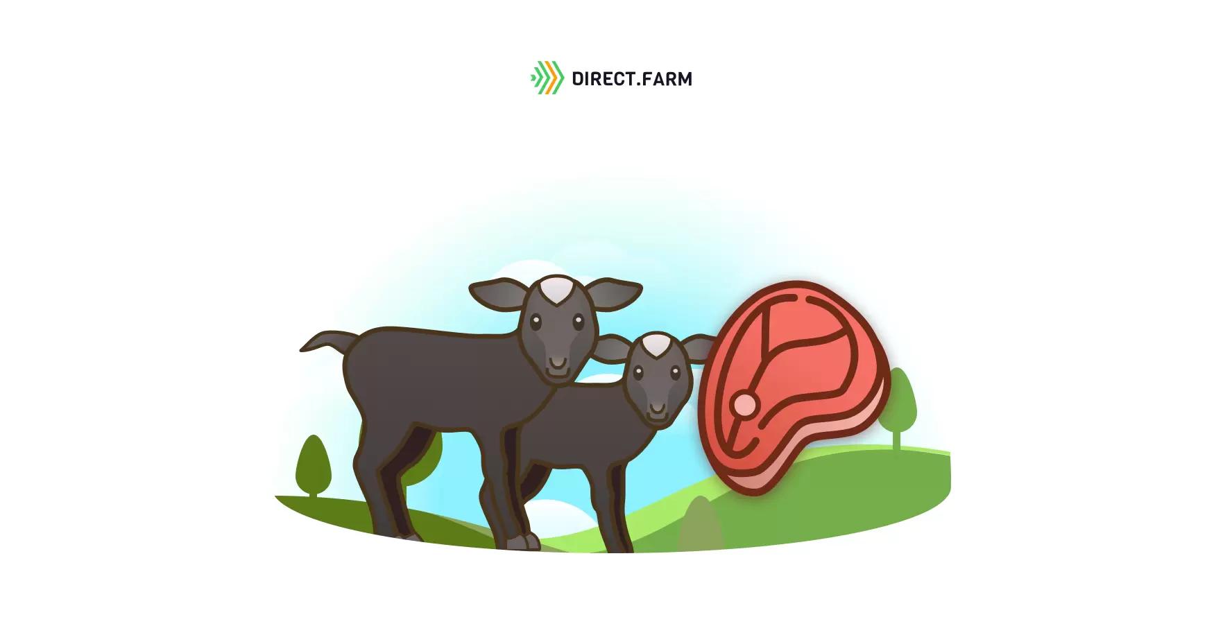 Как выбрать породу овец для разведения на мясо