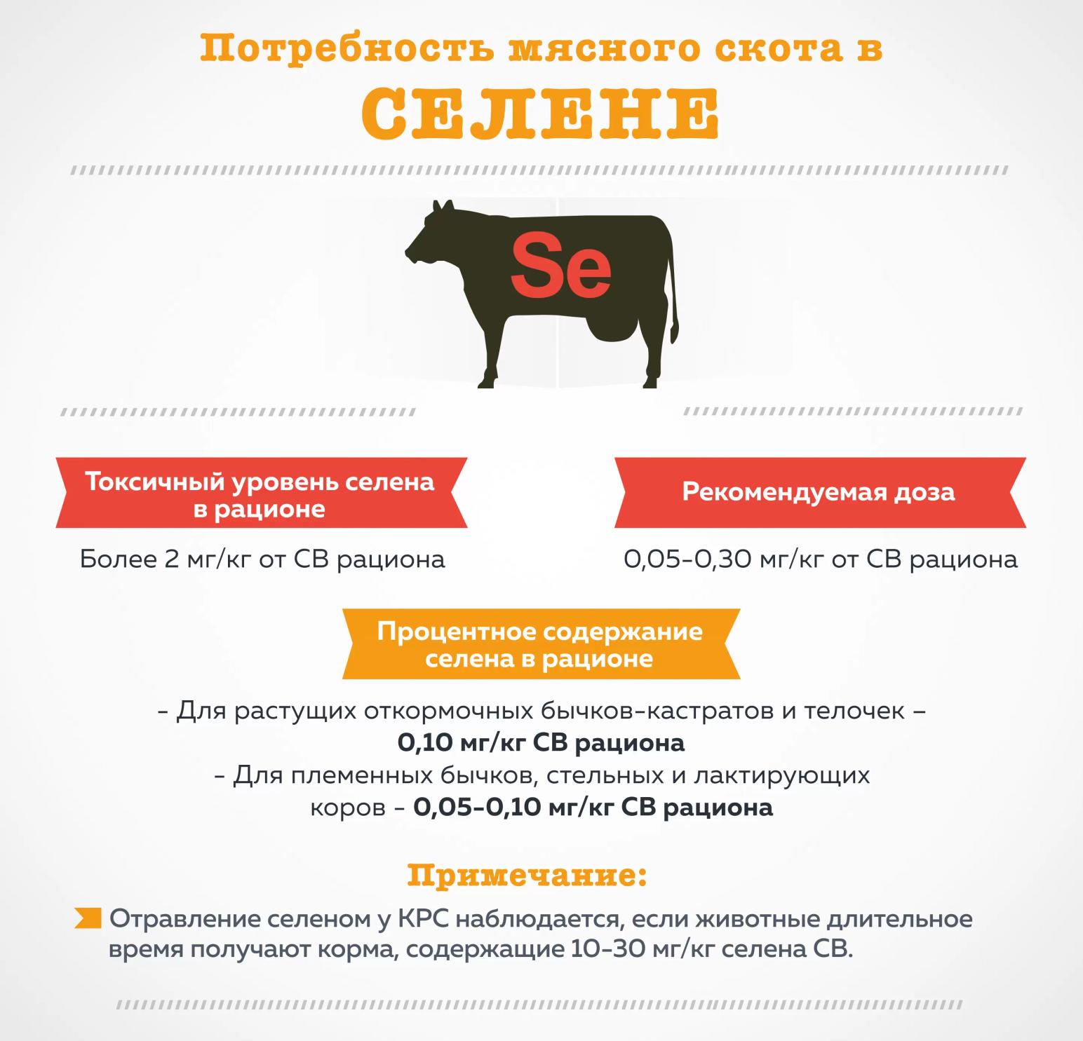 Потребность мясного скота в селене