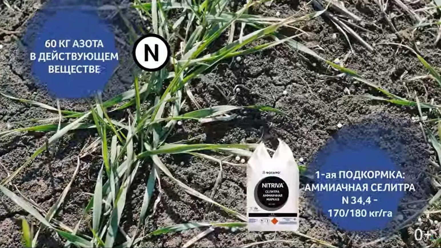 Весенне-полевые работы – советы от ФосАгро