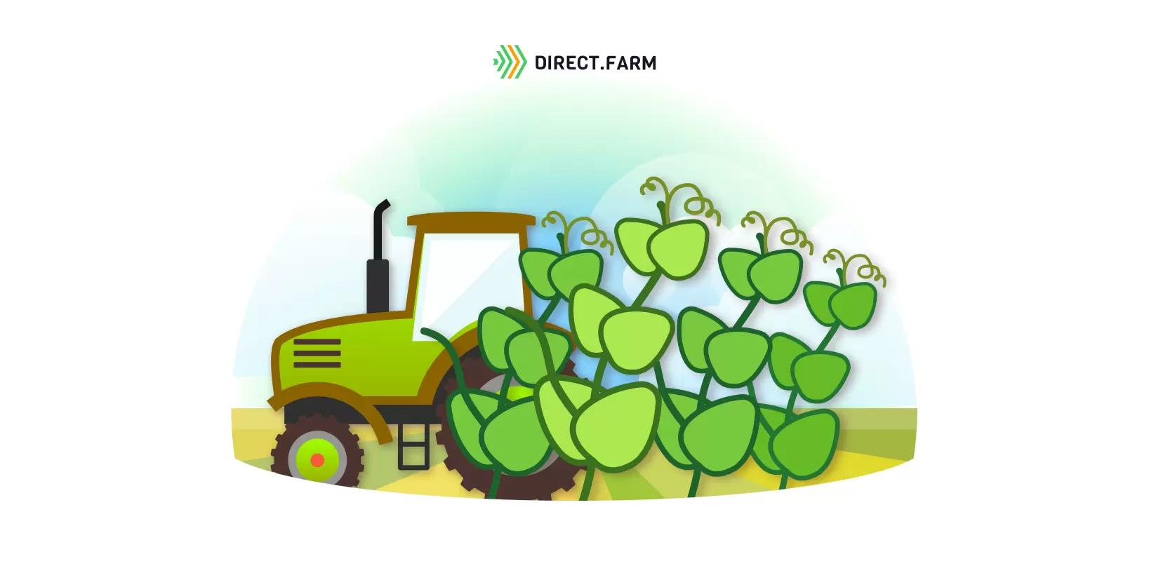 Какая норма высева гороха показывает лучшие результаты?