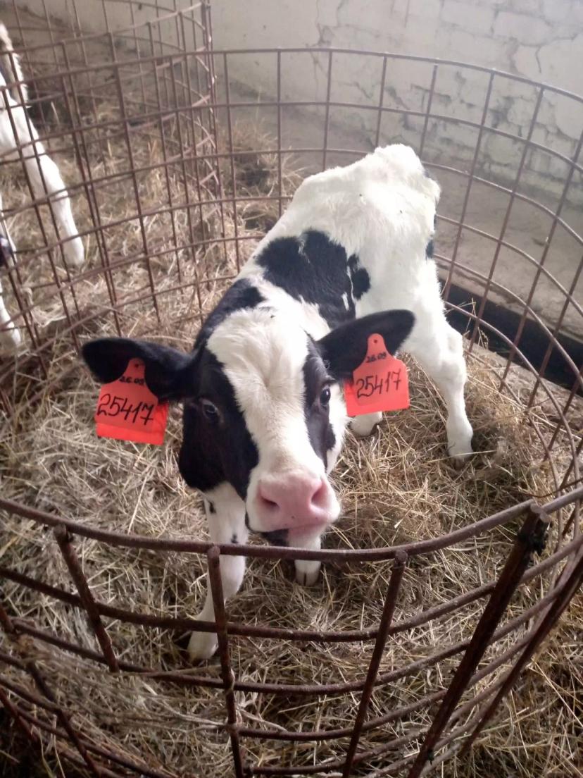 Красавчик, не правда ли?