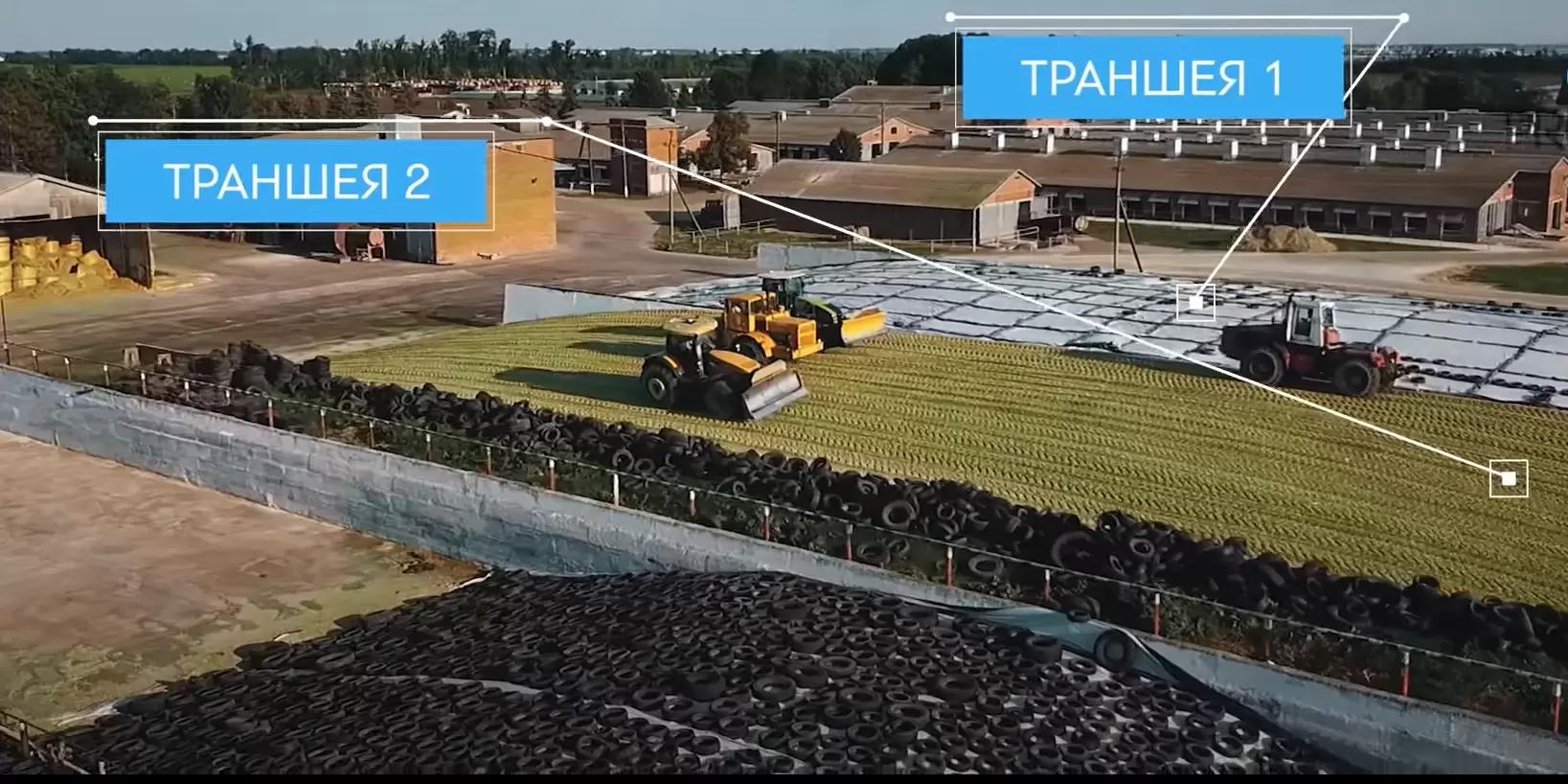 Заготовка кукурузного силоса