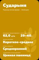 Сударыня сорт мягкой яровой пшеницы