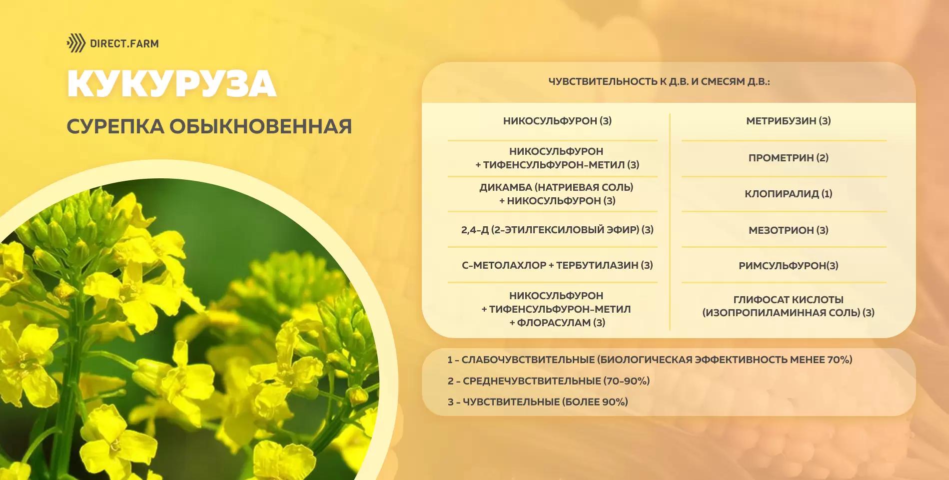 Шпаргалка чувствительности сурепки обыкновенной к д.в. гербицидов