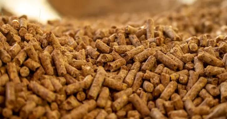 Антислеживающие добавки в кормлении скота