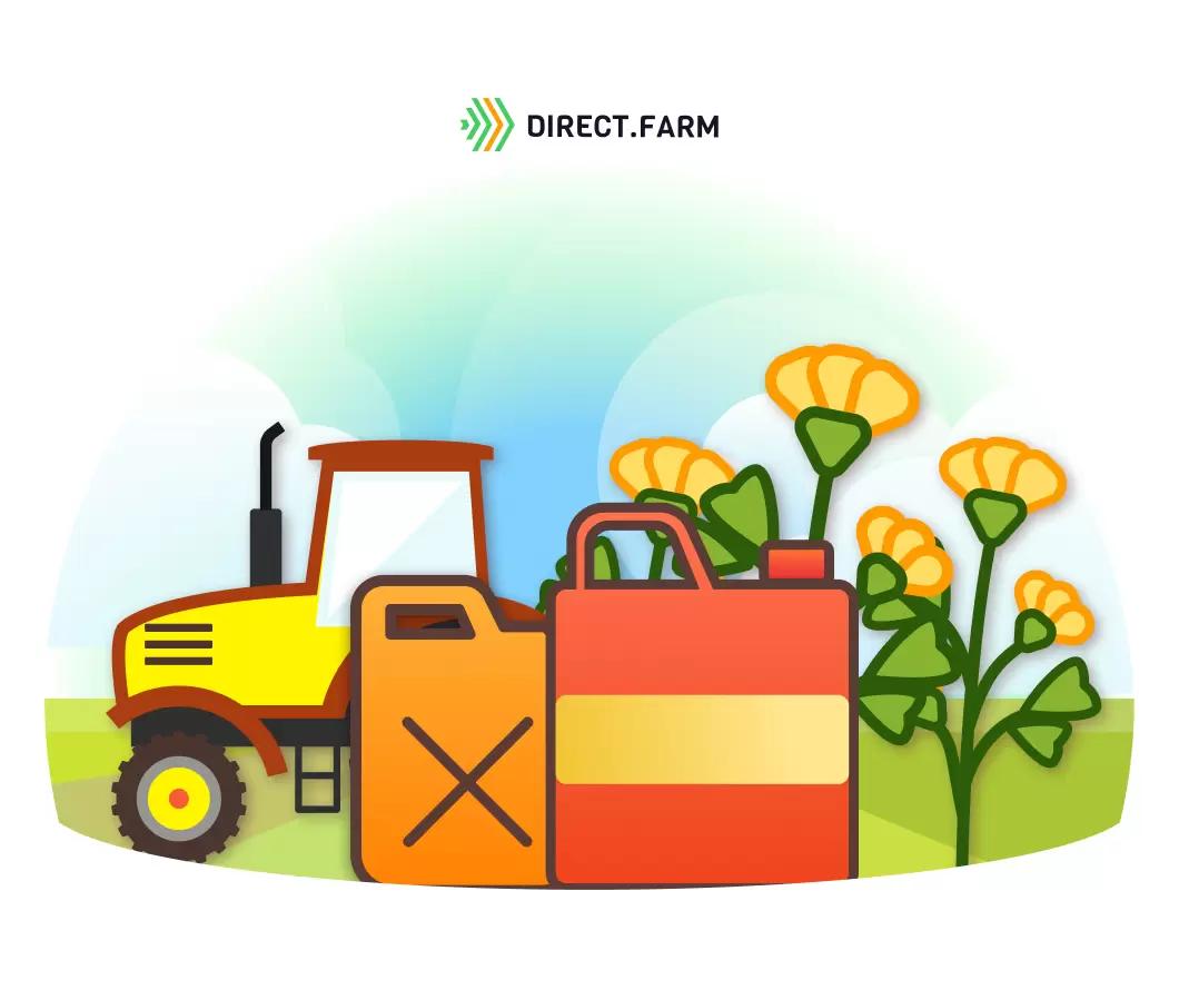 Как выращивать горчицу желтую на зерно?