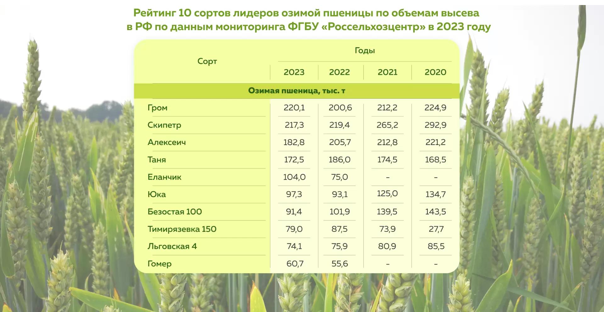 Топ 10 сортов озимой пшеницы за 2023 год