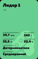 Лидер 1