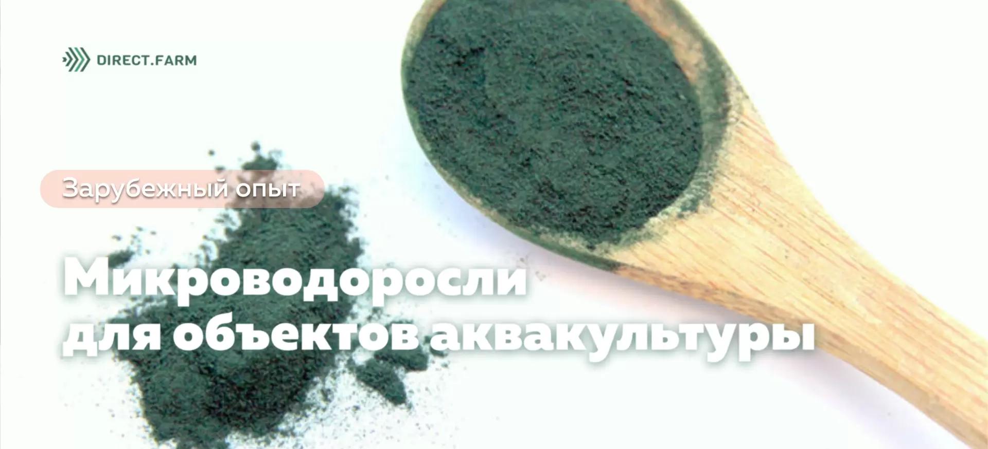 Перспективы использования микроводорослей в кормлении объектов аквакультуры