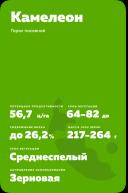 Камелеон ® - сорт гороха посевного (Pisum sativum L.).