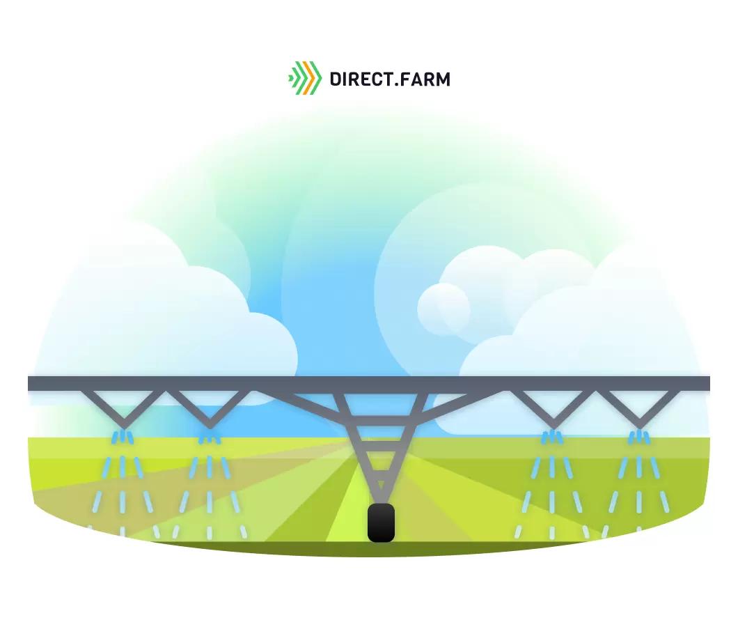 Как возделывать кукурузу и сою на орошении?