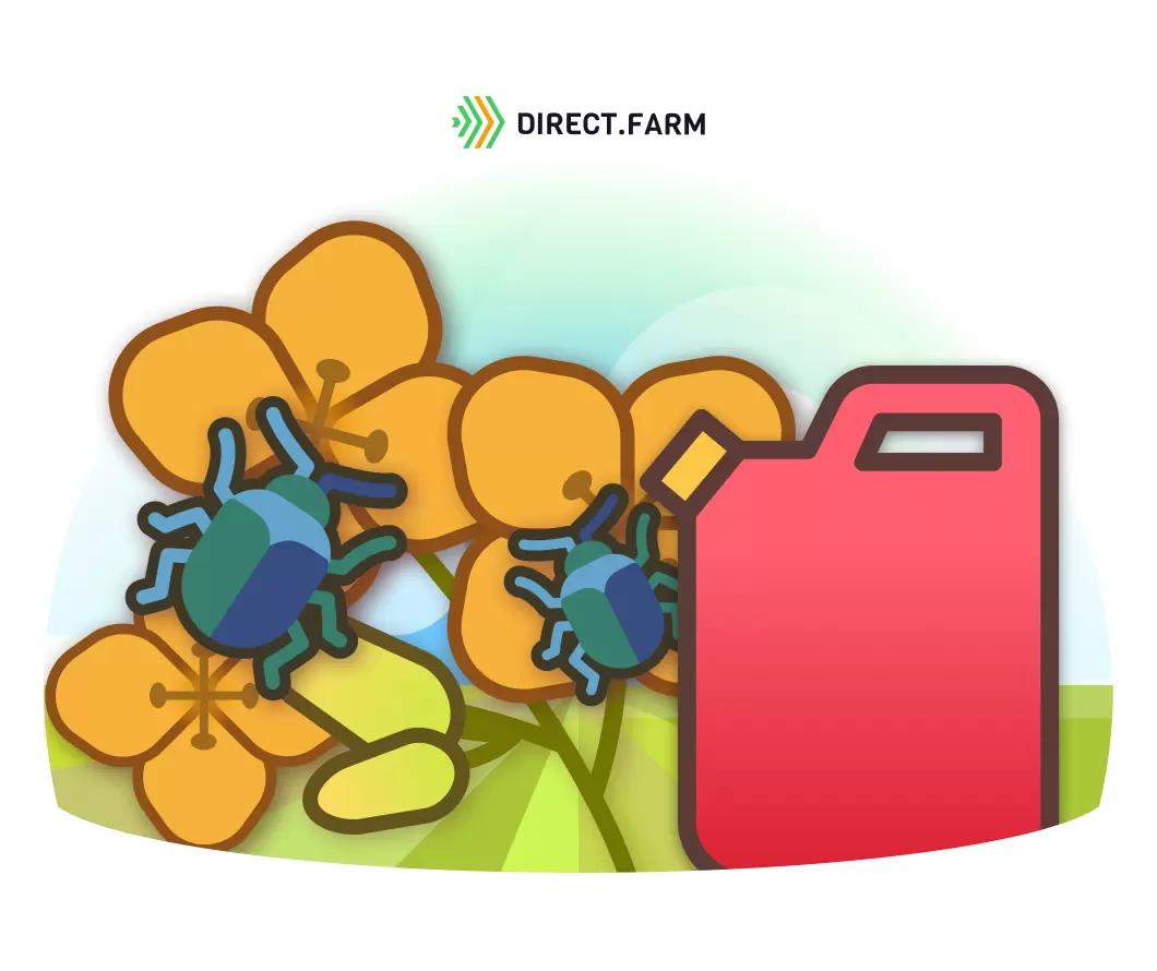 Эффективное решение в контроле рапсового цветоеда