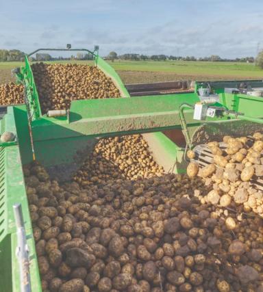 Самоходный картофелеуборочный комбайн Колнаг Puma 4.0 уборка урожая до 100 т/ч
