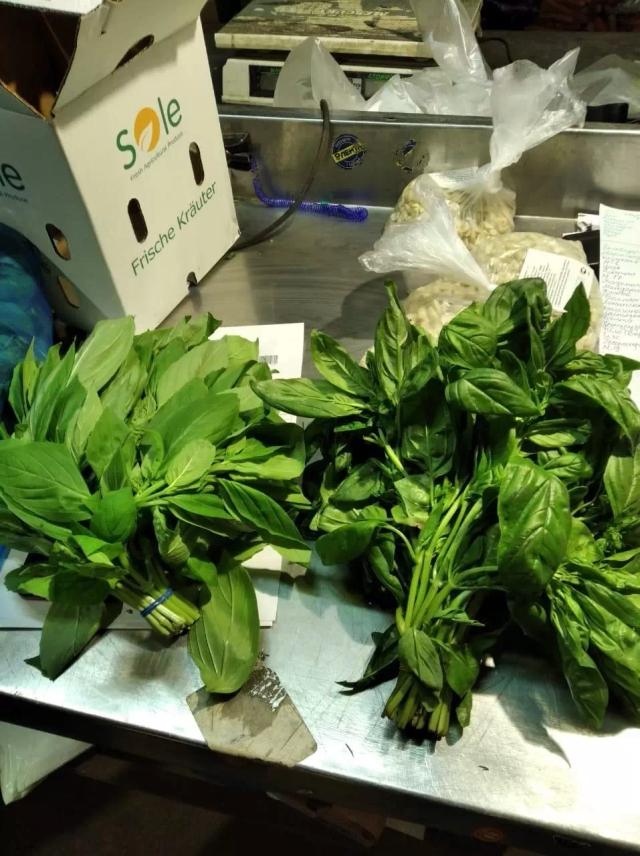 Что это за сорт базилика?