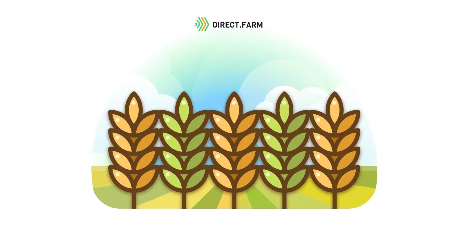 Чем отечественные сорта лучше иностранных?