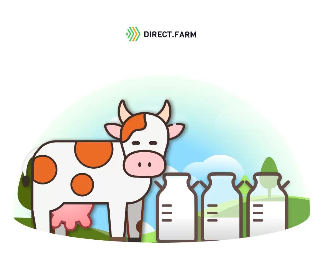 Последствия избытка жиров в рационе дойных коров