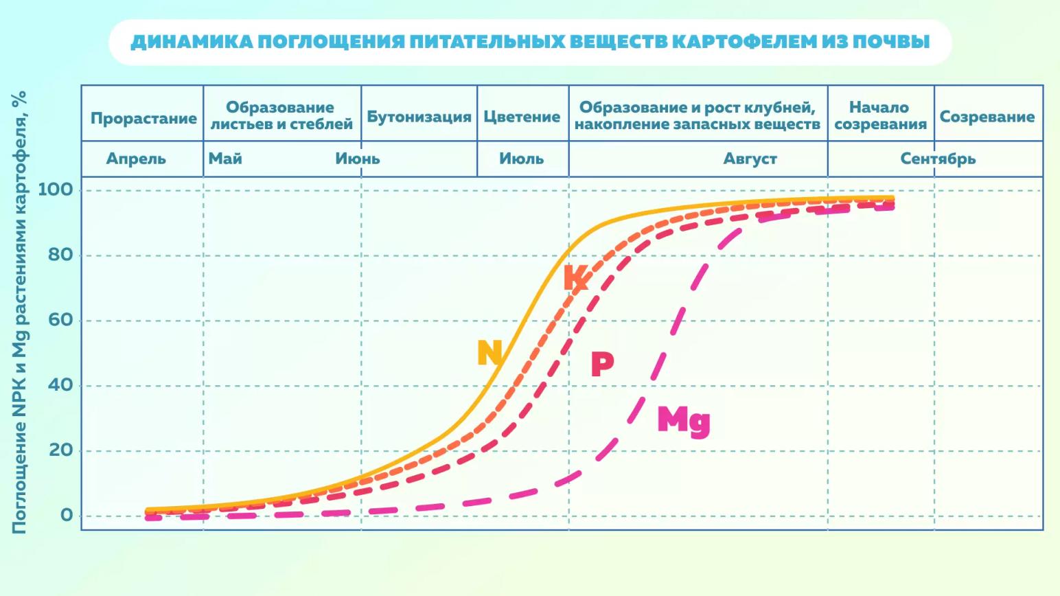 Поглощение картофелем элементов питания из почвы