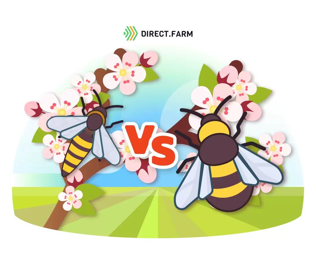 Использование земляного шмеля и его преимущества в опылении